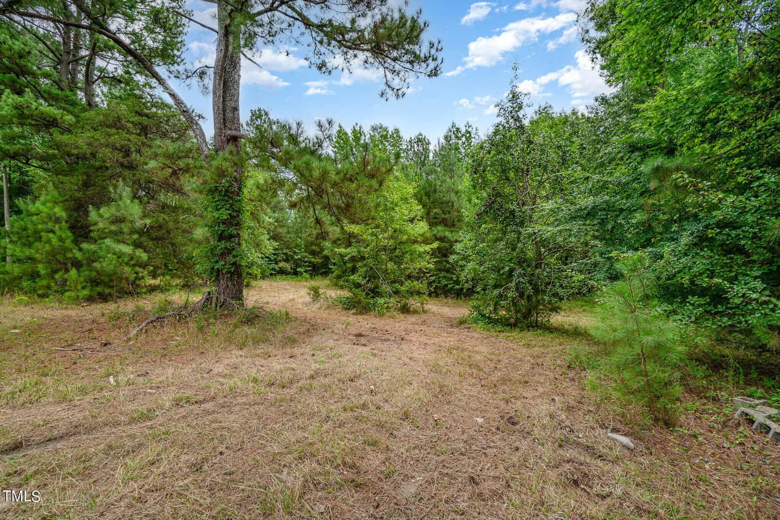 A clearing in a forest with various green trees and patches of grass under a blue sky with clouds.