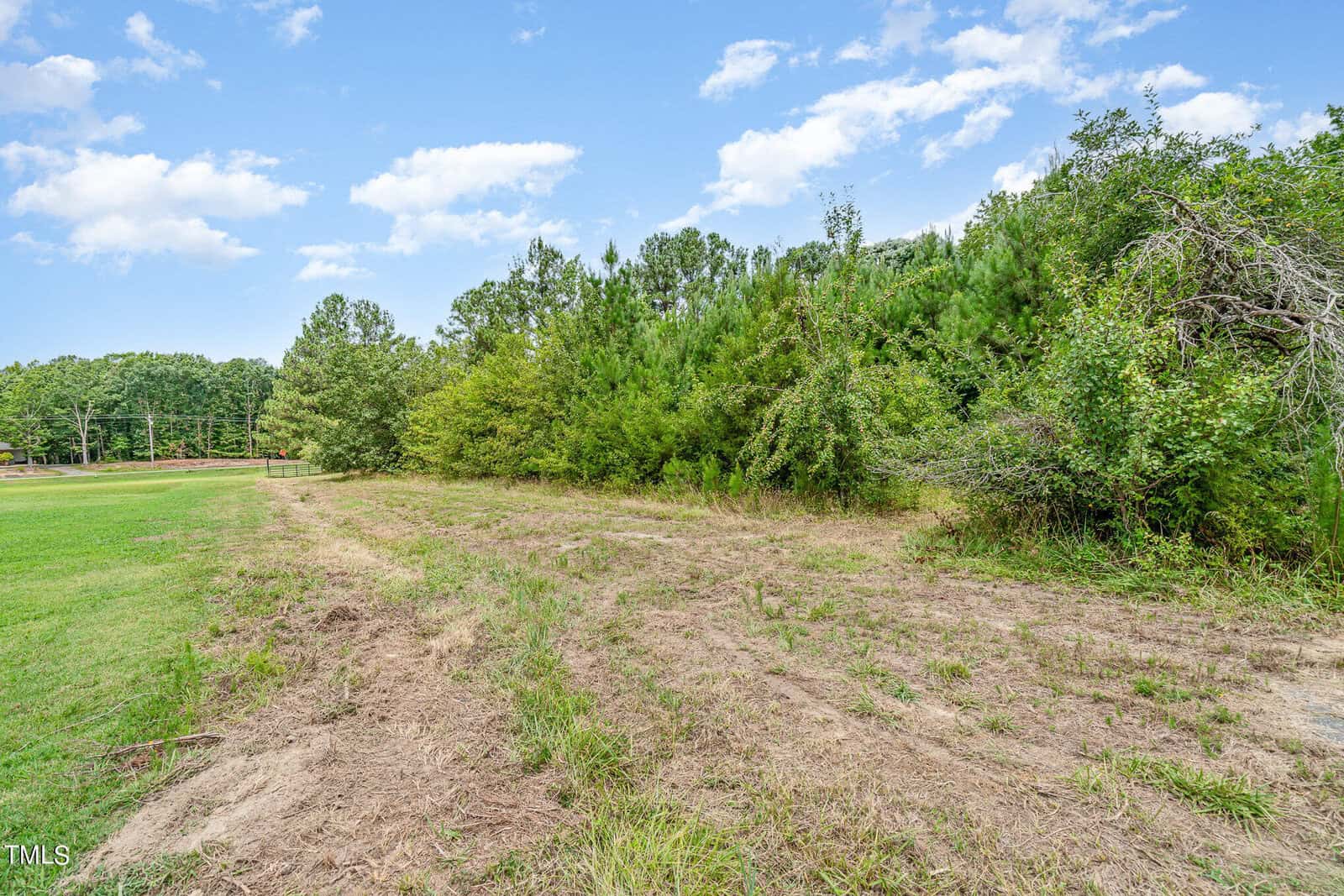 A grassy field bordered by dense trees under a partly cloudy sky. The open area leads to a wooded section in the background, creating a natural, serene landscape.