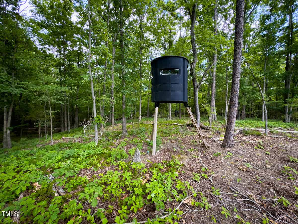 A black hunting blind is elevated on wooden legs in a dense forest. The area is surrounded by green trees and leafy underbrush. The forest floor has patches of exposed dirt and fallen branches.