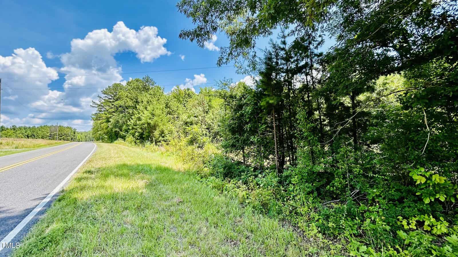A rural road curves to the left on 2520 Propus Wilkinson Road, bordered by lush green grass and dense trees under a blue sky with scattered clouds. Power lines run parallel, as sunlight filters through the foliage, creating a picturesque Bullock County setting.