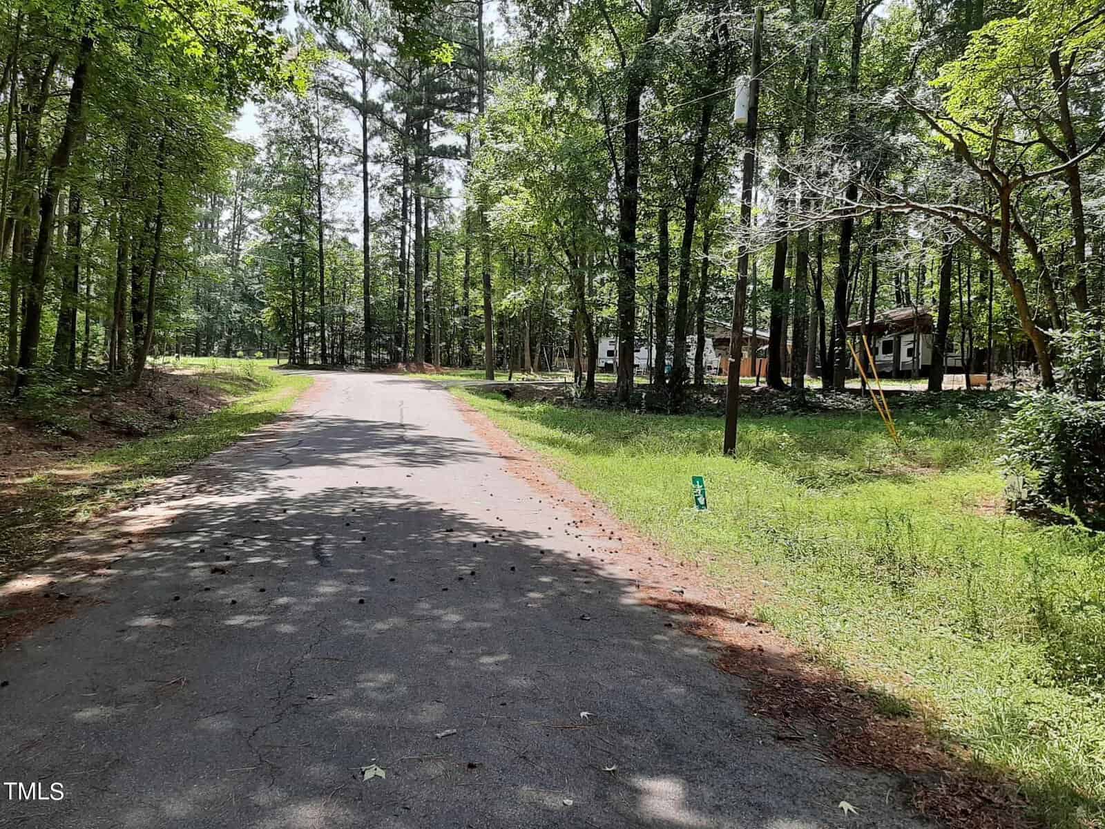 A quiet, tree-lined paved road curves through a wooded area with grass on both sides. A mailbox and utility pole are visible, and a house is partially seen among the trees on the right. Sunlight filters through the foliage.