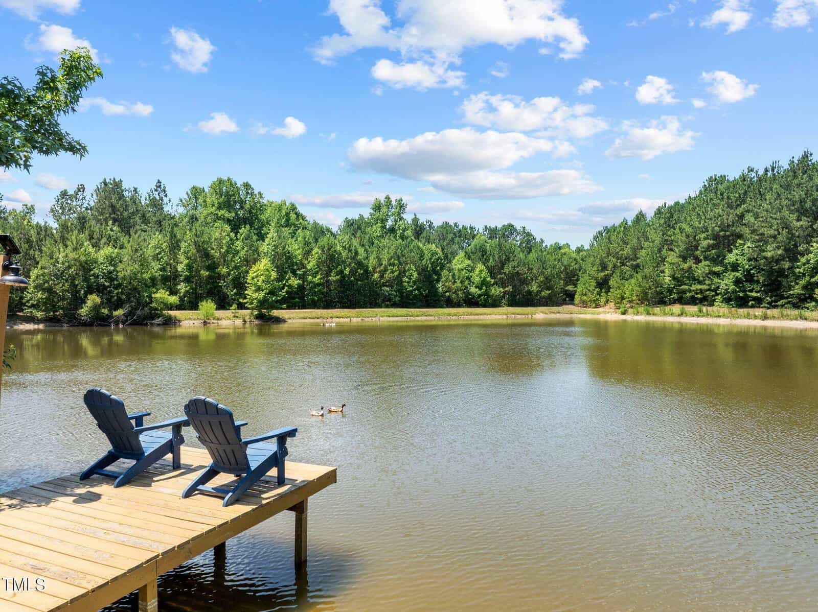 Two Adirondack chairs sit on a wooden dock overlooking a tranquil lake surrounded by lush greenery and tall trees, under a bright blue sky with scattered white clouds. Two ducks swim leisurely in the calm water.