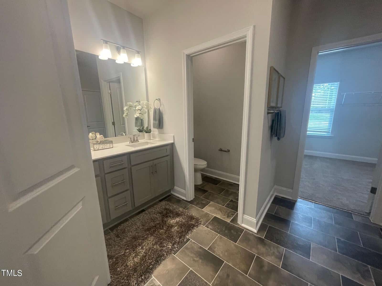 Modern bathroom with gray cabinets and countertop, a large mirror with three lights above, a small plant, and decor on the vanity. A toilet sits in a separate alcove, and an adjacent doorway leads to a carpeted room.
