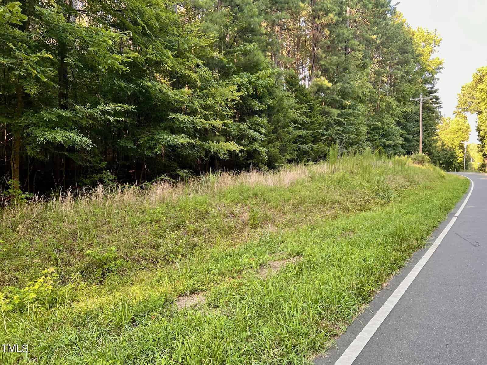 A quiet road bordered by lush green grass and dense trees. The scene is peaceful with a clear sky visible above, and a utility pole stands near the edge of the road.