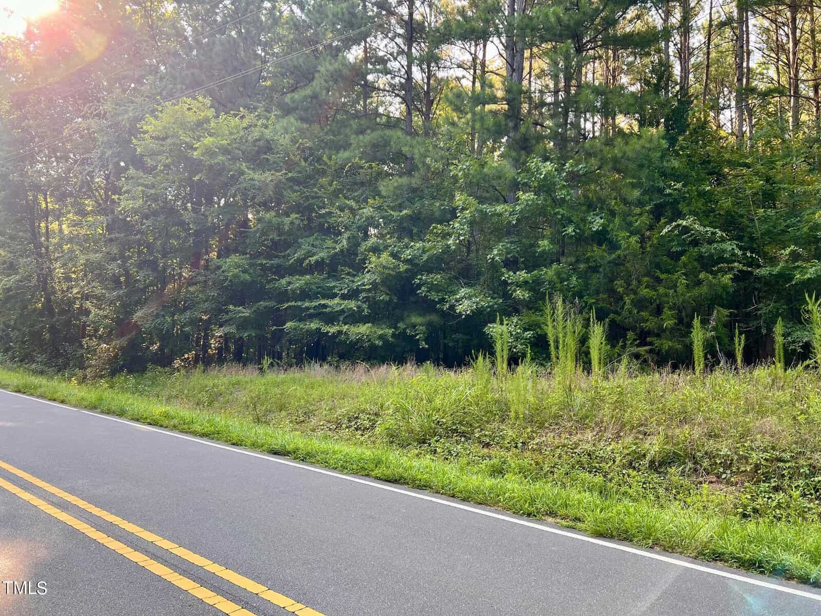A rural road with bright yellow lines stretches alongside a lush green forest. Tall trees and dense foliage are illuminated by sunlight filtering through, creating a serene and natural landscape.