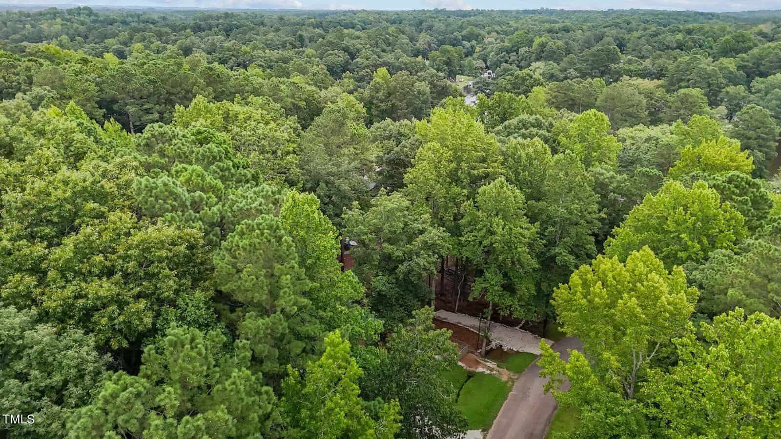 Aerial view of a lush, green forest with a residential road winding through the trees. Houses are partially visible among dense foliage under a cloudy sky.