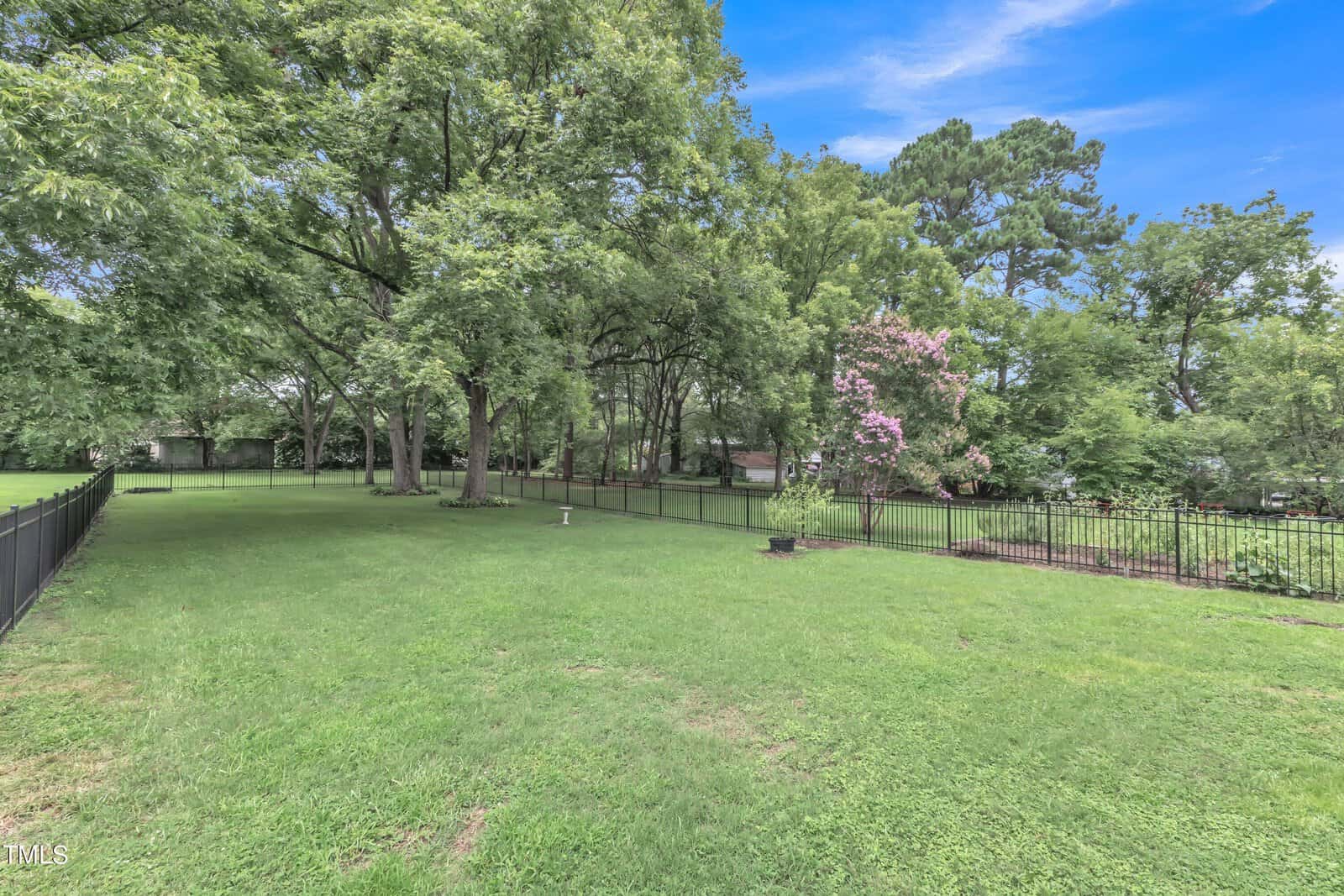 A spacious, grassy backyard with mature trees under a clear blue sky. There is a metal fence surrounding the yard, and a flowering tree adds a touch of color.