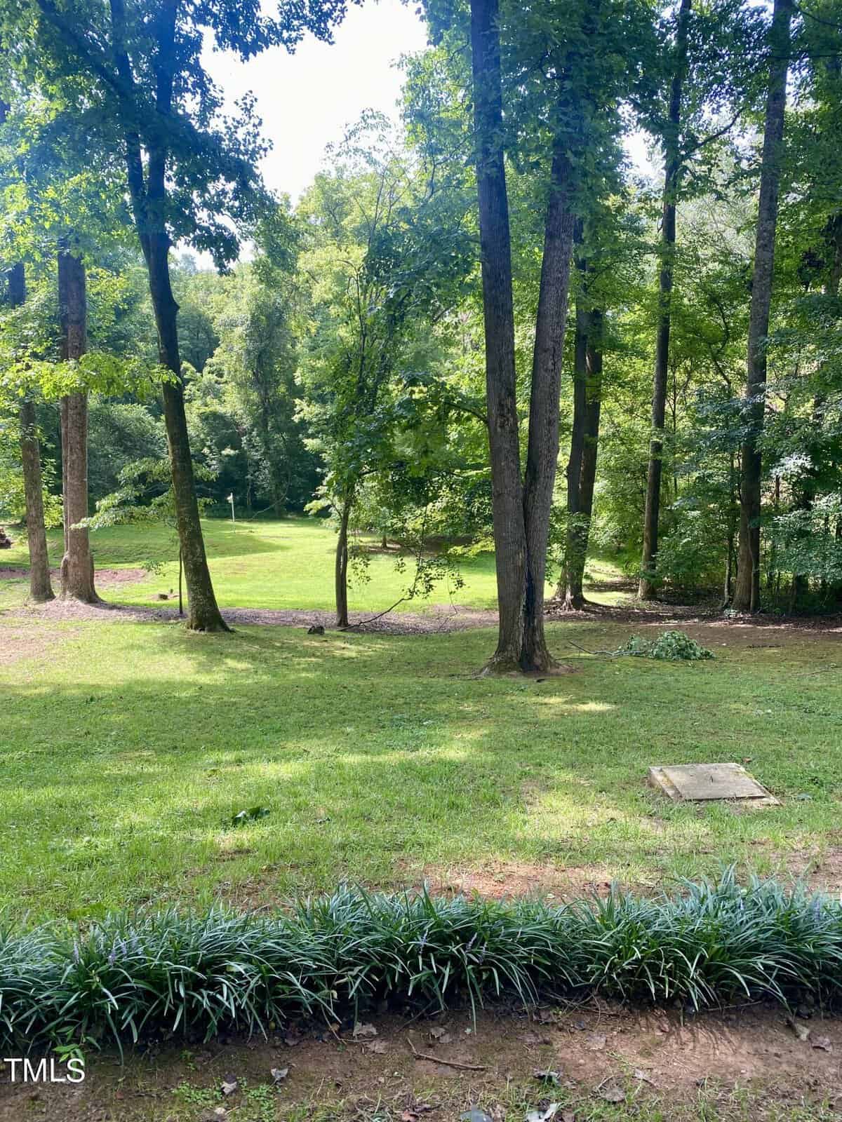 A scenic view of a grassy backyard surrounded by tall trees and lush greenery. Sunlight filters through the leaves, casting dappled shadows on the ground. A small patch of ornamental plants grows in the foreground near the bottom of the image.
