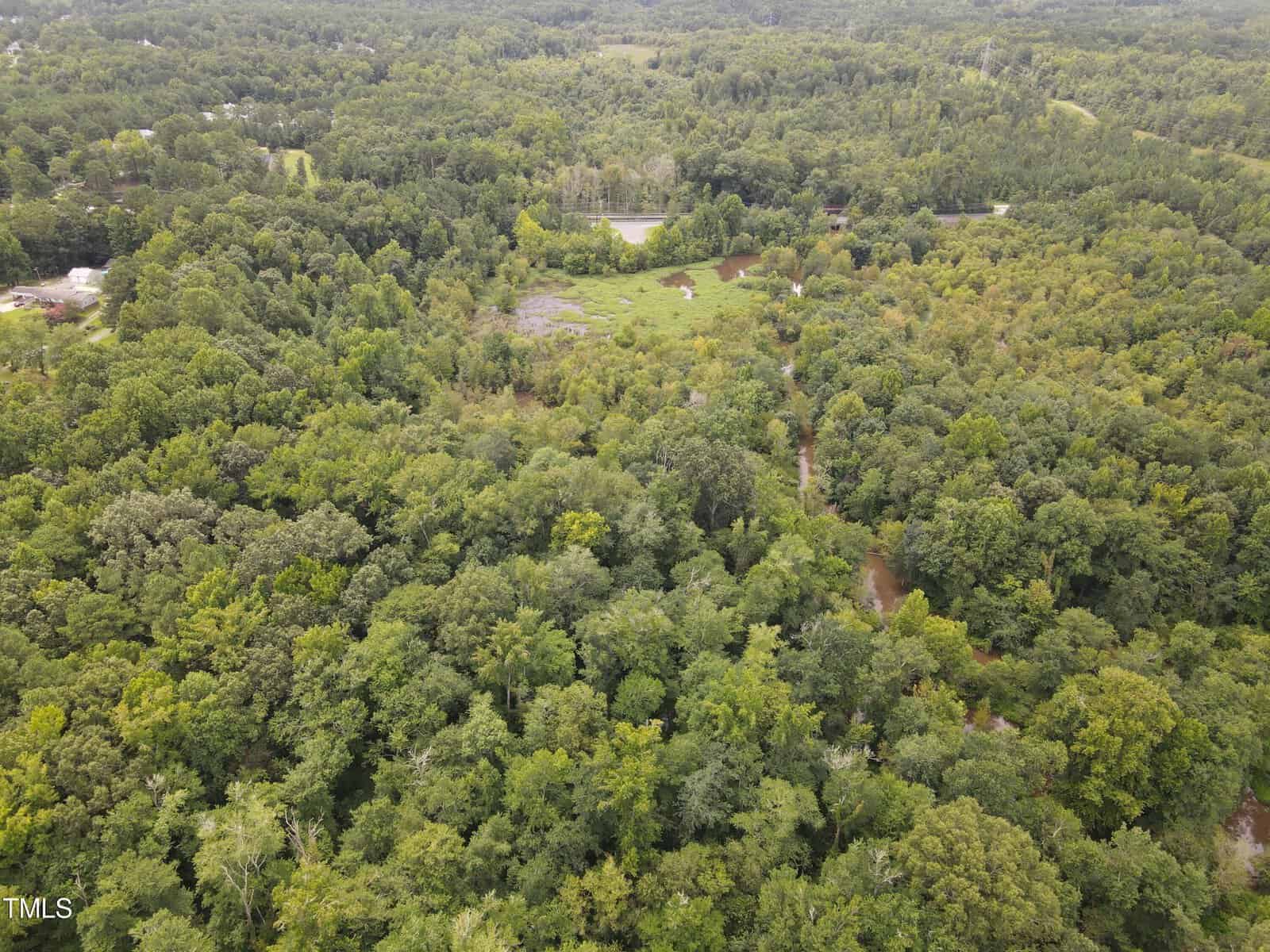 Aerial view of a dense forest landscape with a river winding through the trees. The greenery is lush and expansive, and a patch of water is visible in the center. The scene conveys a tranquil, natural environment.