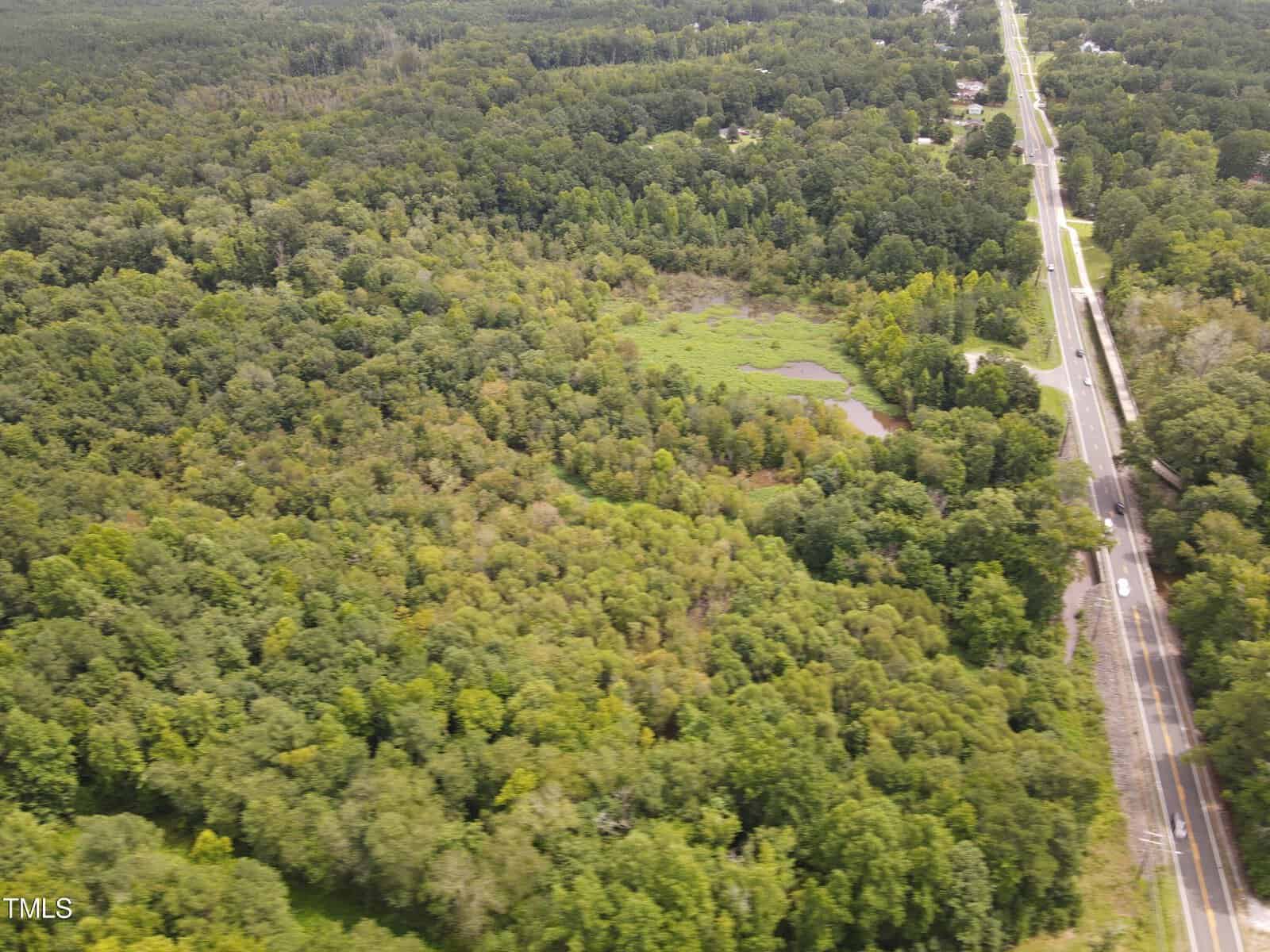 Aerial view of a lush green forest with a road running alongside. A small clearing and a pond are visible within the forest. The scene extends into the distance with more trees and a few scattered buildings.