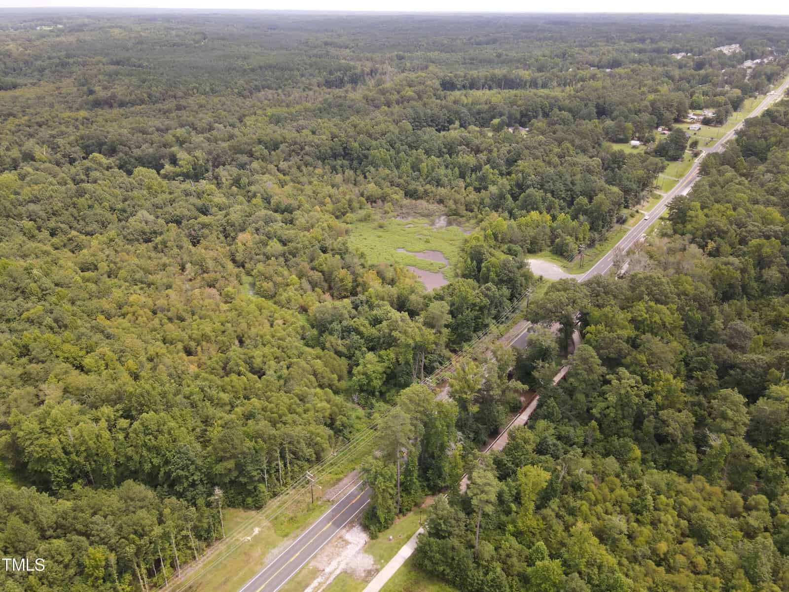 Aerial view of a lush green forest with a road passing through. The road has a bridge over a small river or stream. The forest extends into the distance, bordered by scattered houses and clearings.
