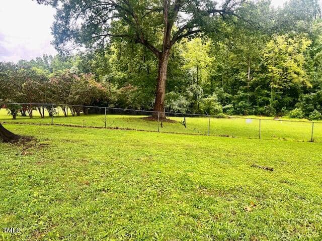 A lush green backyard with a large tree and a chain-link fence. The lawn is expansive, bordered by dense greenery of shrubs and trees in the background under a partly cloudy sky.
