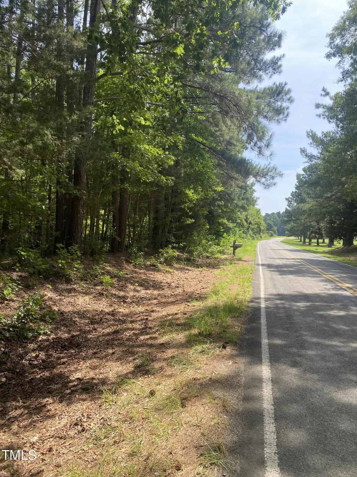 A rural road curves next to a dense forest of tall trees under a partly cloudy sky. Sunlight filters through the foliage, casting dappled shadows on the ground. The scene is serene and quiet, with lush greenery surrounding the asphalt road.
