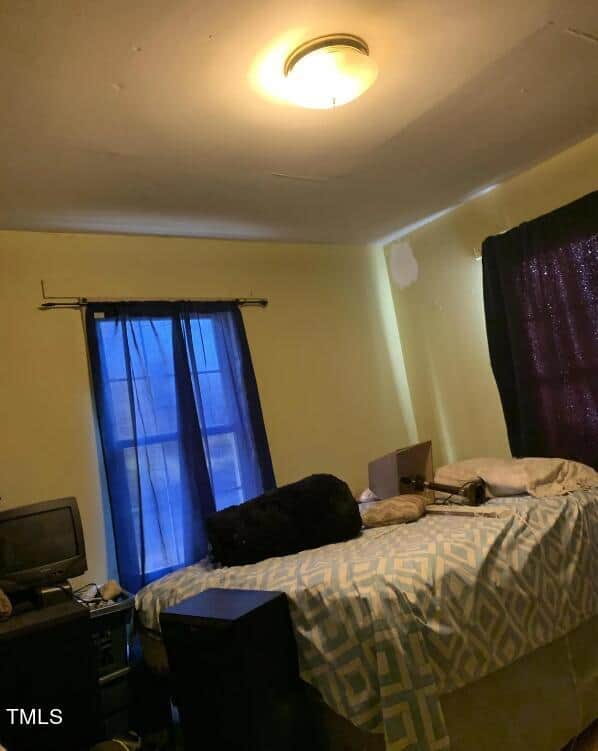 A small bedroom features a bed with a checkered bedspread and several pillows. There are curtains on the windows with one set open, revealing daylight outside, and another set closed. Light enters the room from a ceiling fixture. A small TV sits on a stand in the corner.