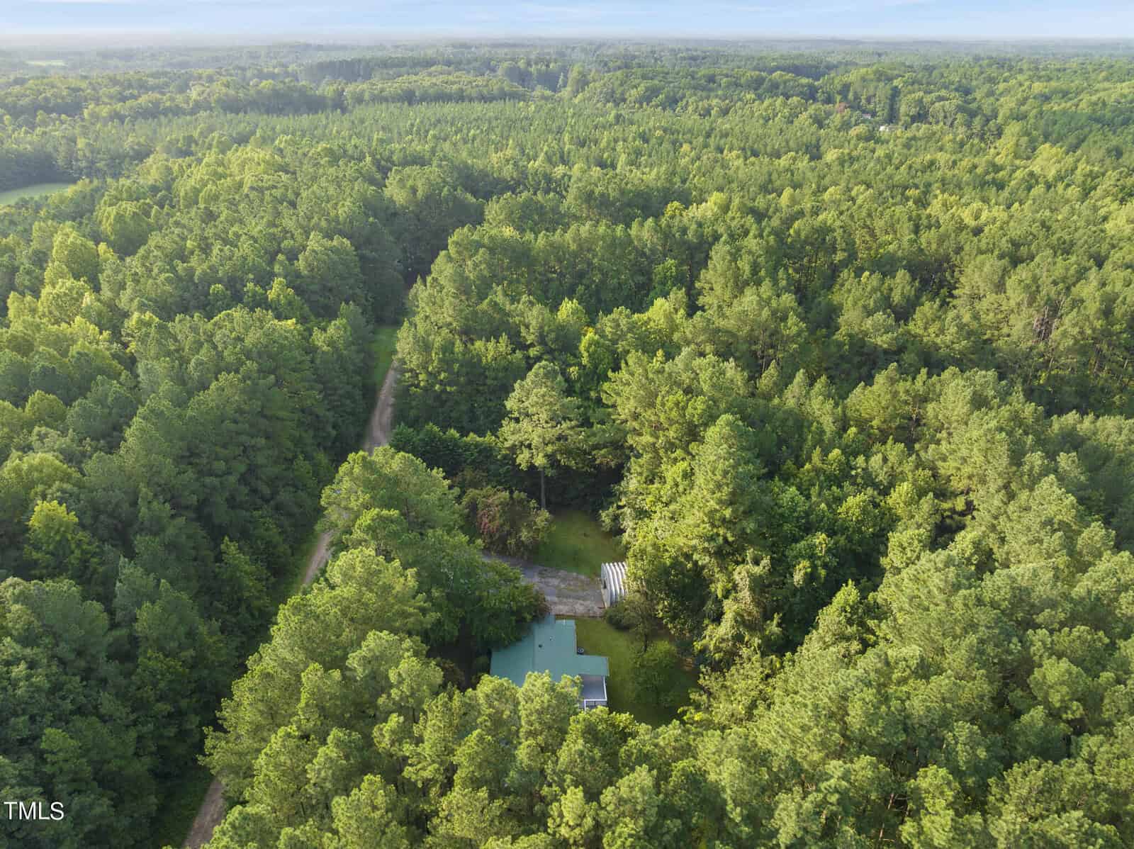 Aerial view of a dense, lush green forest surrounding a small, isolated house with a light-colored roof. The house is nestled among tall trees and appears to have a cleared yard area. A winding, narrow dirt road leads through the forest to the house.