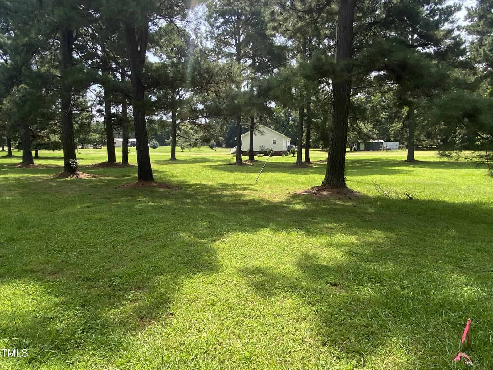 A grassy field with scattered trees, a building in the background, and a pink marker on the right. Sunlight filters through the trees, creating dappled shadows on the ground.