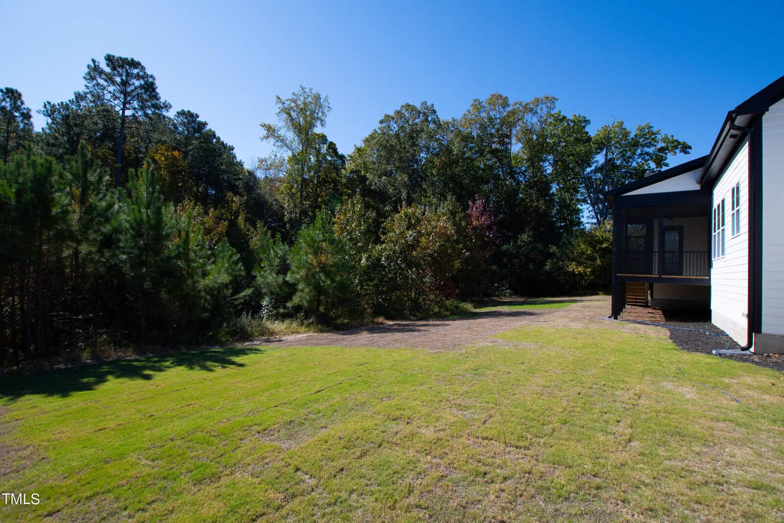 The image shows a backyard with a grassy lawn, bordered by a row of trees. Part of a house with a screened porch is visible on the right. The sky is clear and blue, suggesting a sunny day.