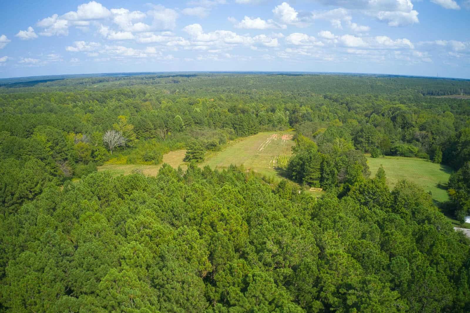 Aerial view of a lush green forest with dense trees, open grassy clearings, and a partly cloudy sky stretching across the horizon.