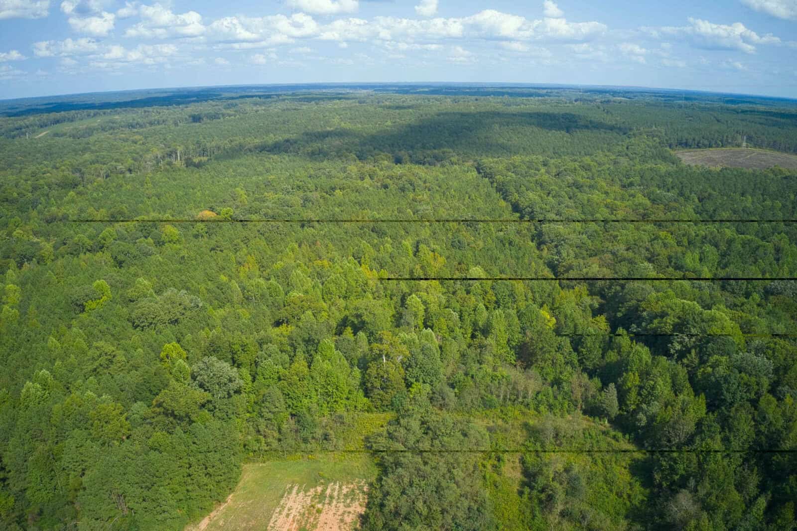 Aerial view of a dense, green forest under a partly cloudy sky, with power lines running horizontally across the center of the image. A small clearing is visible in the lower left corner.