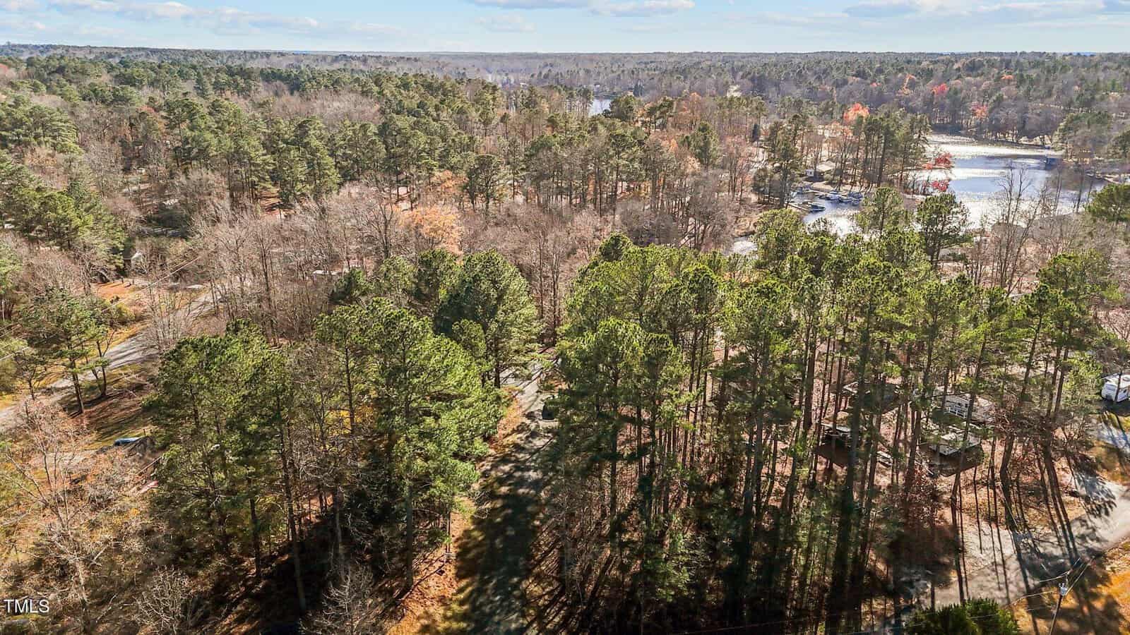 Aerial view of a wooded area with dense trees, a winding road, scattered houses, and a lake in the background under a partly cloudy sky.