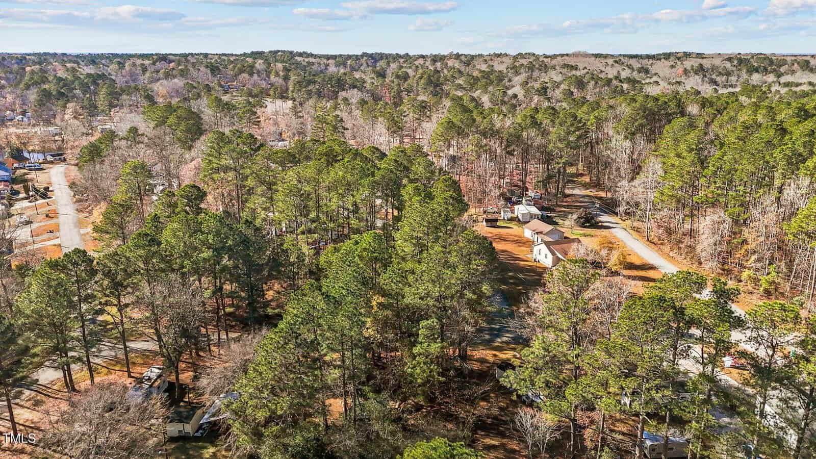 Aerial view of a suburban neighborhood surrounded by dense trees, with scattered houses, dirt roads, and clear skies above.
