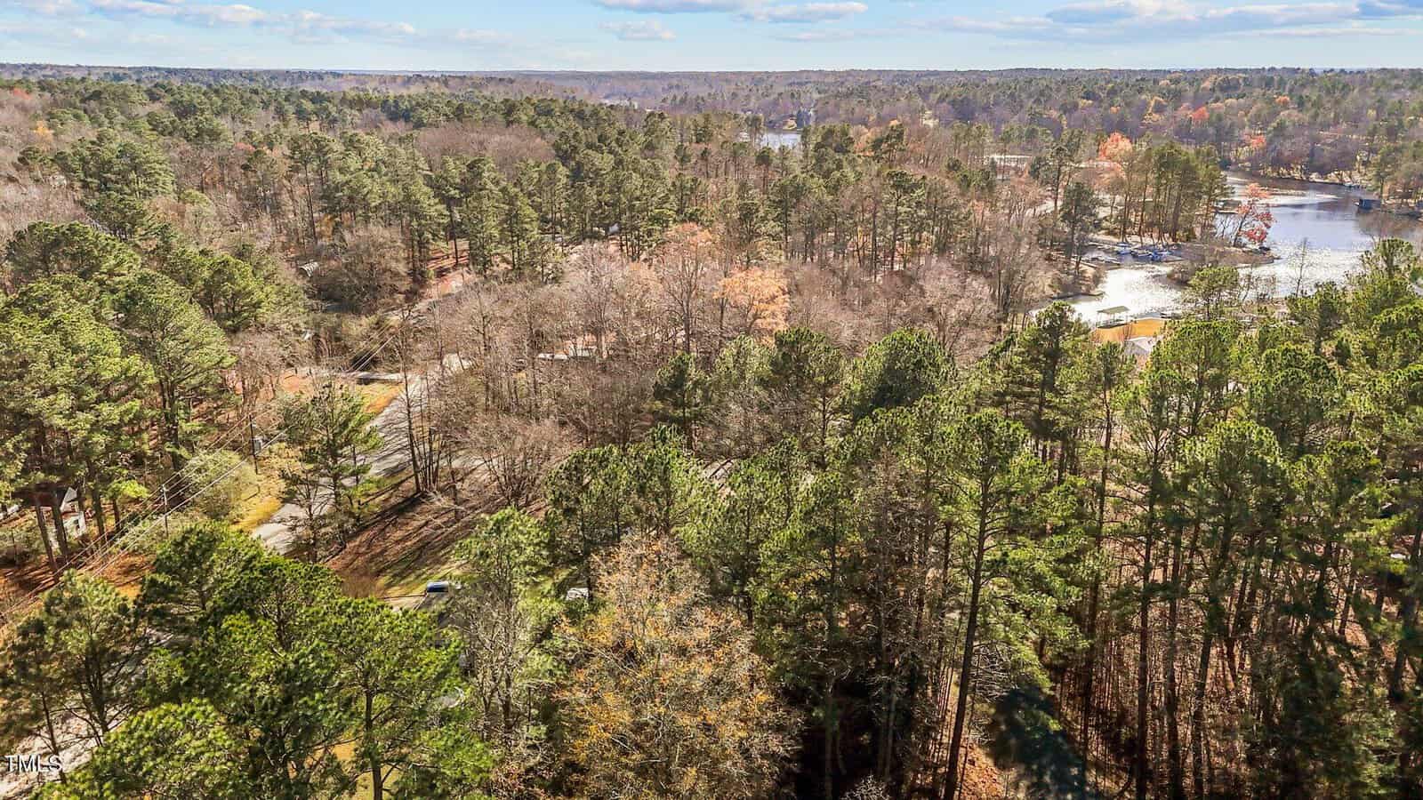 Aerial view of a wooded area with dense green trees, a winding road, and a lake partially visible to the right. The sky is partly cloudy and sunlight casts shadows through the forest.