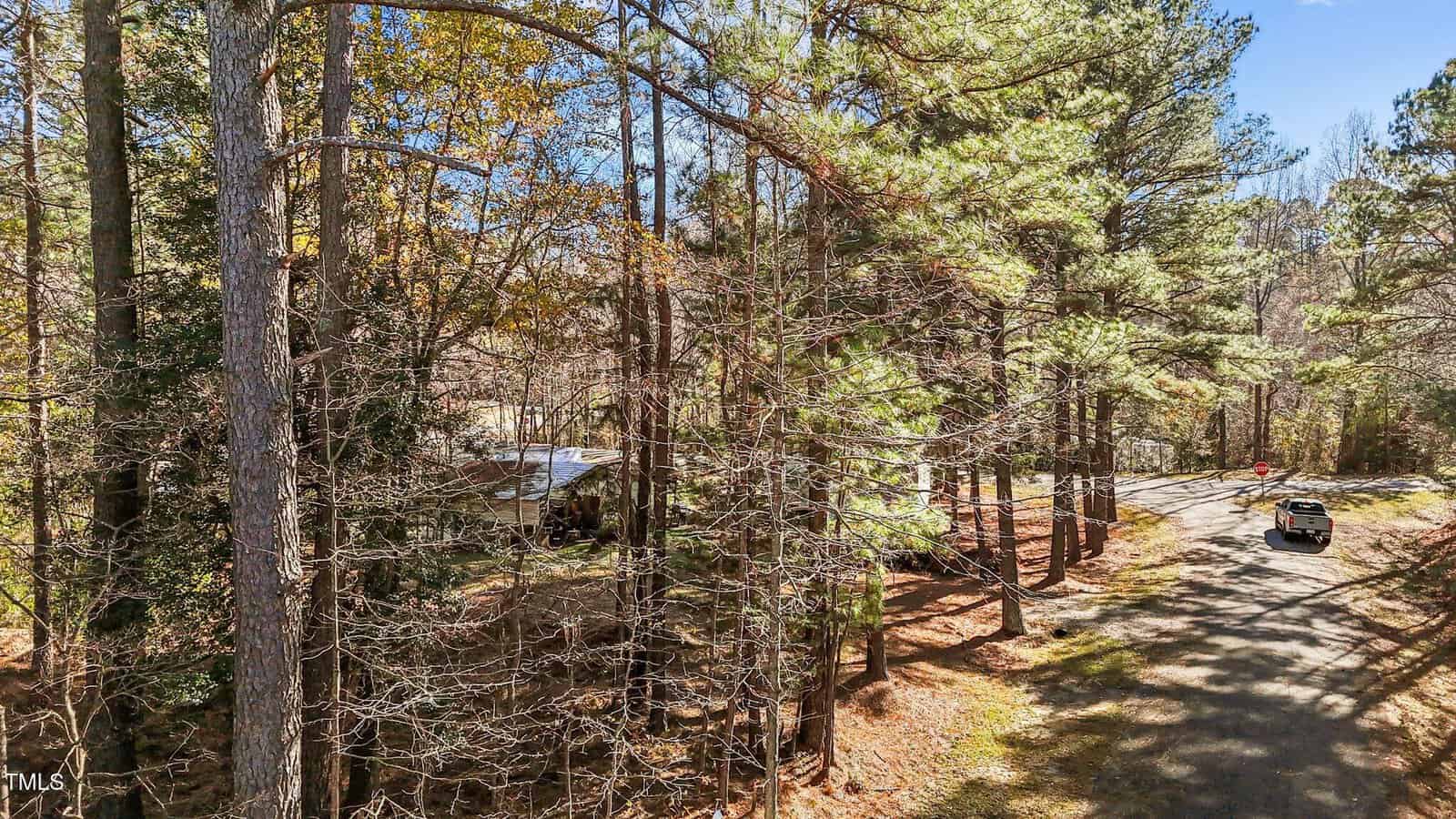 A car drives on a winding road through a forested area with tall pine trees; a house with a light-colored roof is partially visible among the trees to the left.