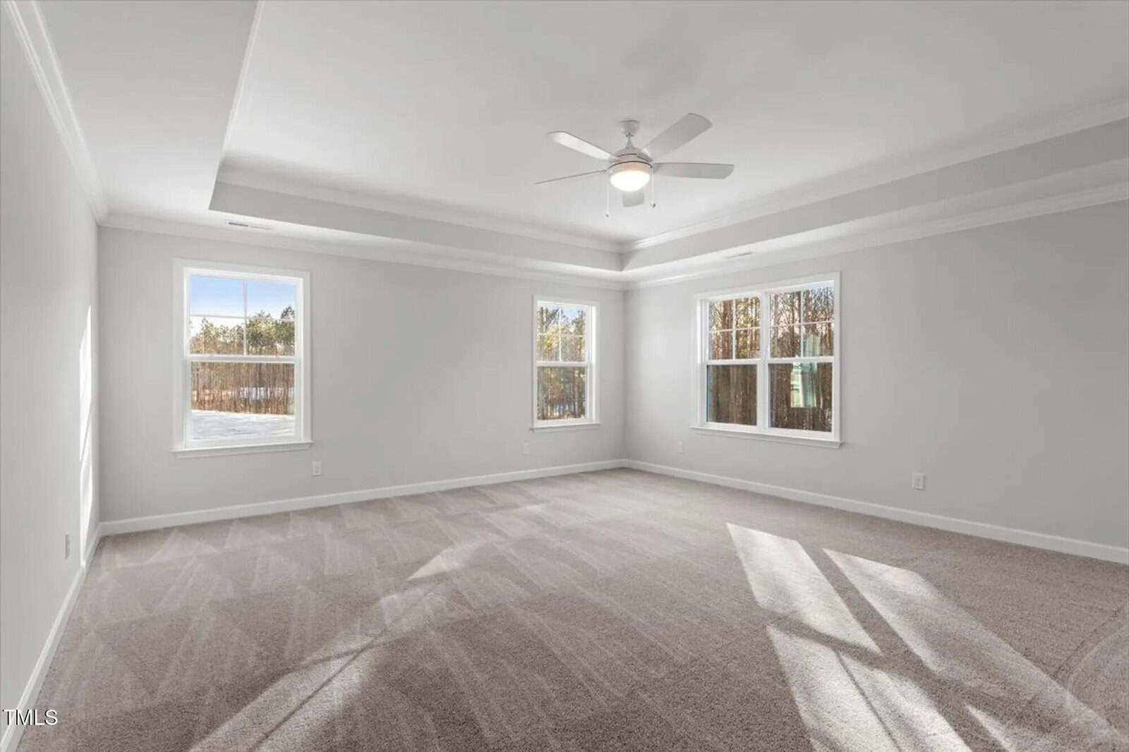 Empty, carpeted room with light gray walls, two large windows on each wall letting in sunlight, and a ceiling fan with a light. The room features a tray ceiling, white trim, and views of trees outside.