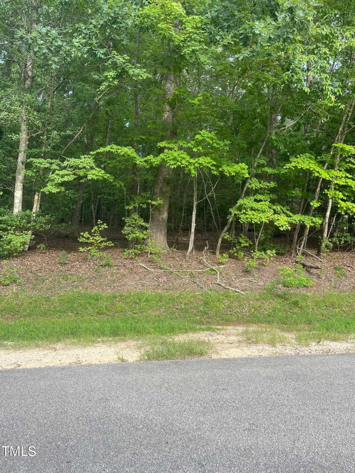 A view of a paved road bordered by a strip of grass and gravel, with a dense forest of tall trees and green foliage in the background.