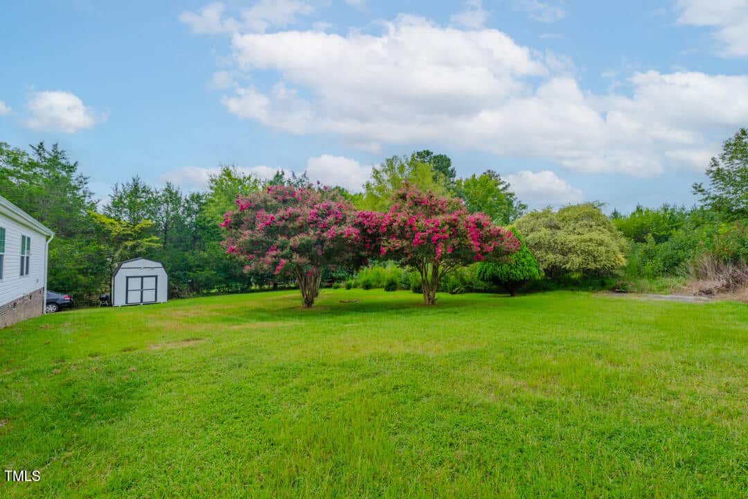 A lush, green yard featuring vibrant pink flowering trees under a blue sky with scattered clouds. A white shed is visible on the left side, and there are trees in the background.
