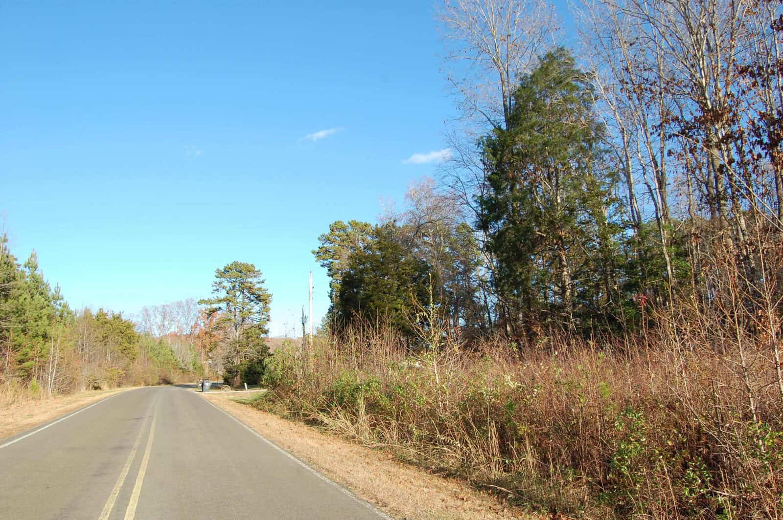 A rural road bordered by tall trees and dense vegetation on a clear day. The asphalt road features a double yellow line and stretches into the distance. The sky is blue with a few clouds.