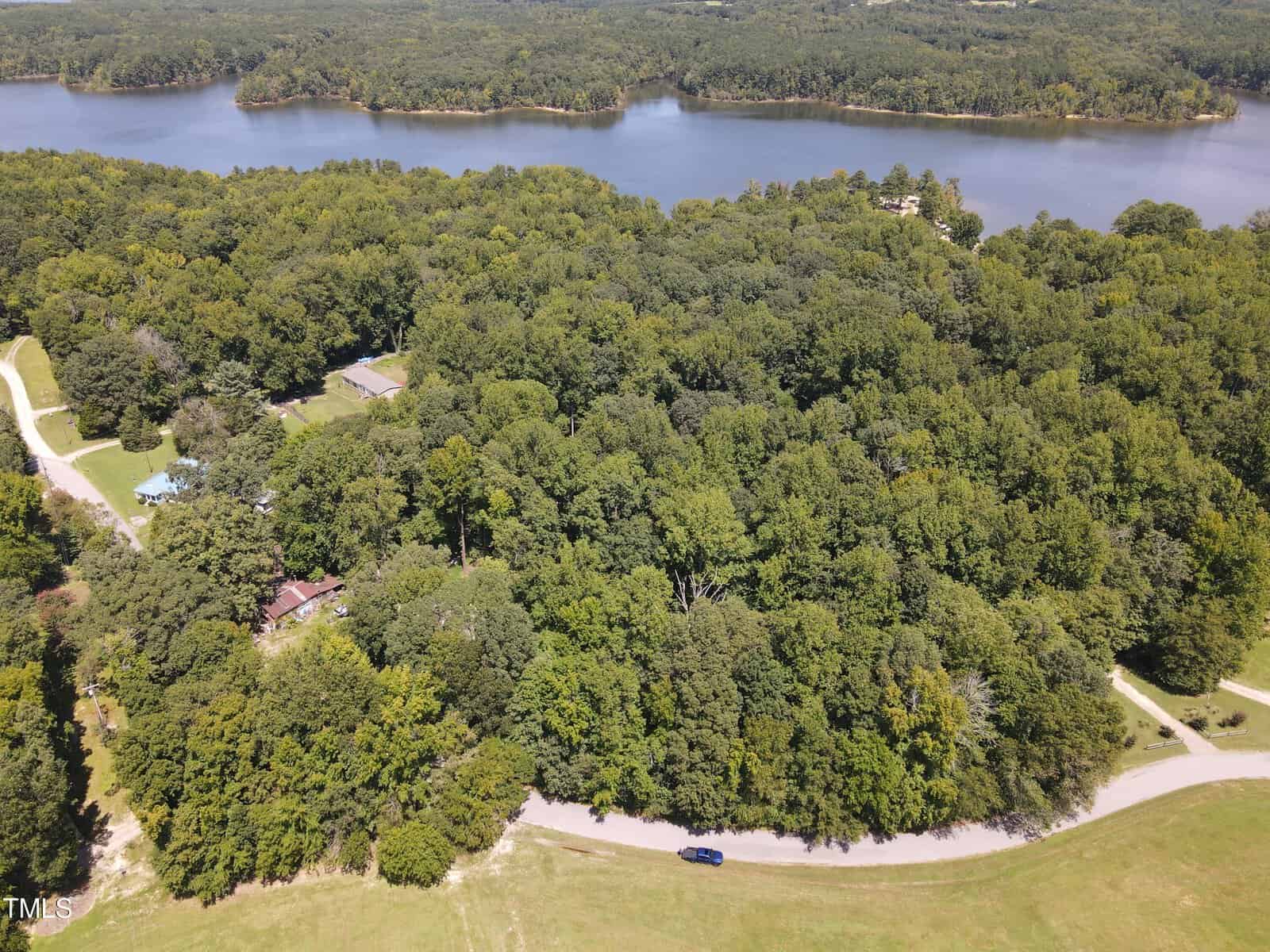 Aerial view of a dense, green forested area with a winding road and a few scattered houses near a large, calm lake. The lake is surrounded by trees and the landscape appears lush and vibrant under clear skies.