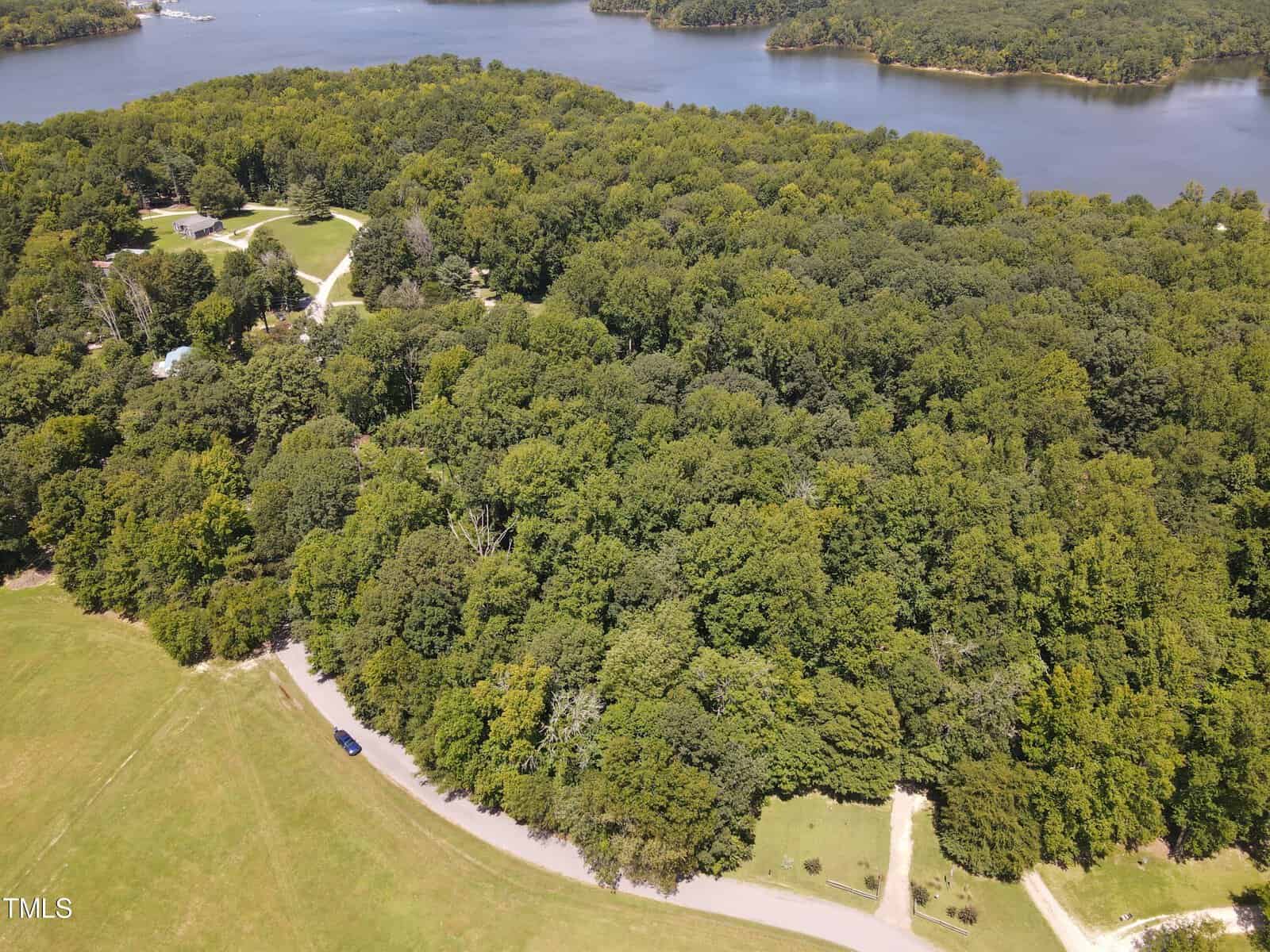 Aerial view of a dense forest by a large lake. A curving road winds through the greenery, with a solitary car visible on it. The lake, surrounded by trees and distant land, occupies the background, adding a serene ambiance to the landscape.