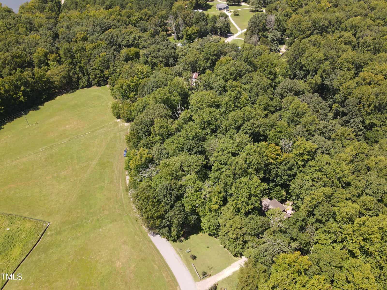 An aerial view of a wooded area with dense green trees and a few visible houses. A winding road cuts through the bottom part of the image, surrounded by grassy fields on the left and dense forest on the right. Paths and driveways are also visible.