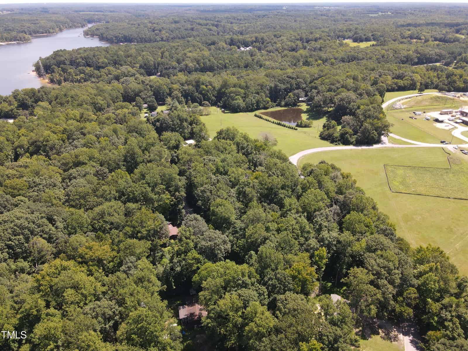 An aerial view of a lush, green landscape with dense forest areas, open grassy fields, and a winding road. There are a few scattered houses visible among the trees, and a large body of water is seen in the background. The sky is clear, bright and sunny.