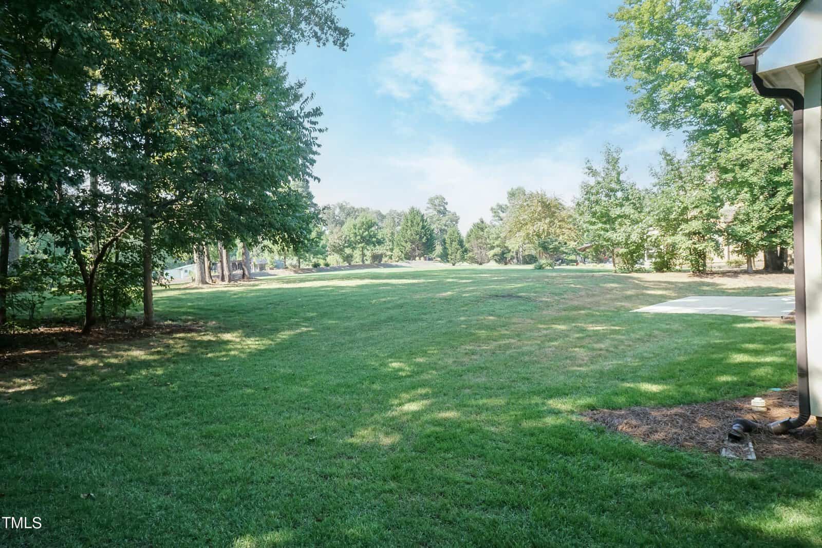 A wide, open grassy lawn under a bright blue sky with scattered clouds. Surrounding the lawn are tall, leafy trees on both sides, providing shade to areas of the grass. A paved pathway is visible on the right side of the image.