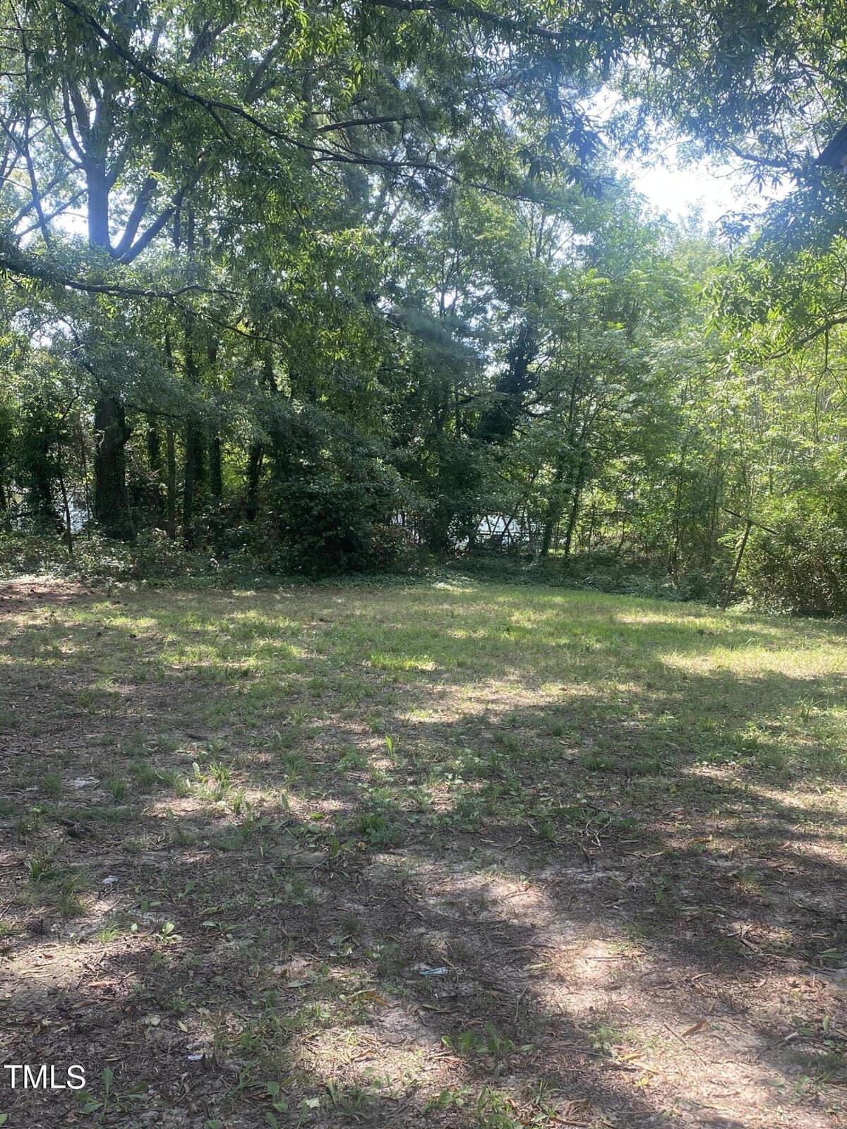 A grassy clearing with some patches of dirt is surrounded by tall, leafy trees, casting dappled shadows on the ground. In the background, dense vegetation partially obscures the view of a small body of water. Sunlight filters through the tree canopy.