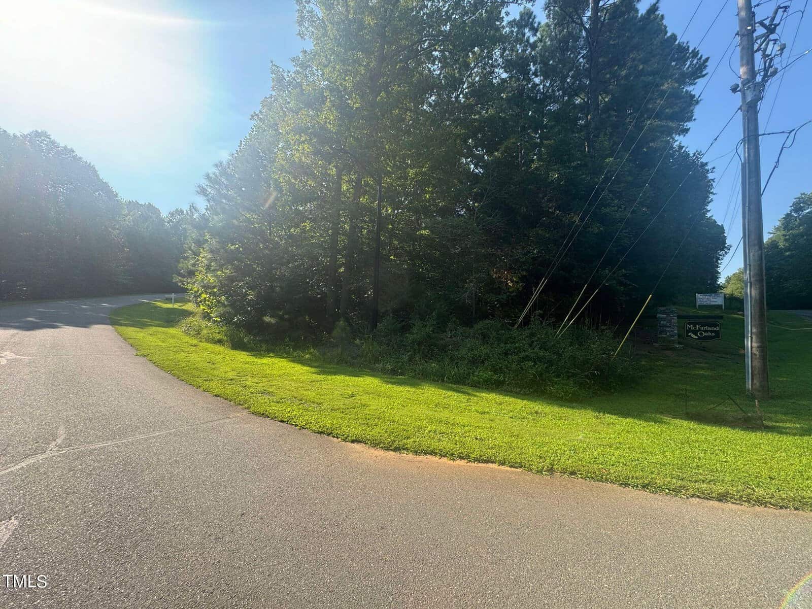 A paved road curves to the left, bordered by a grassy verge. Tall trees with dense foliage line the right side, casting shadows. A utility pole with wires stands nearby, and a sign is partially visible among the trees. The sky is clear and sunny.