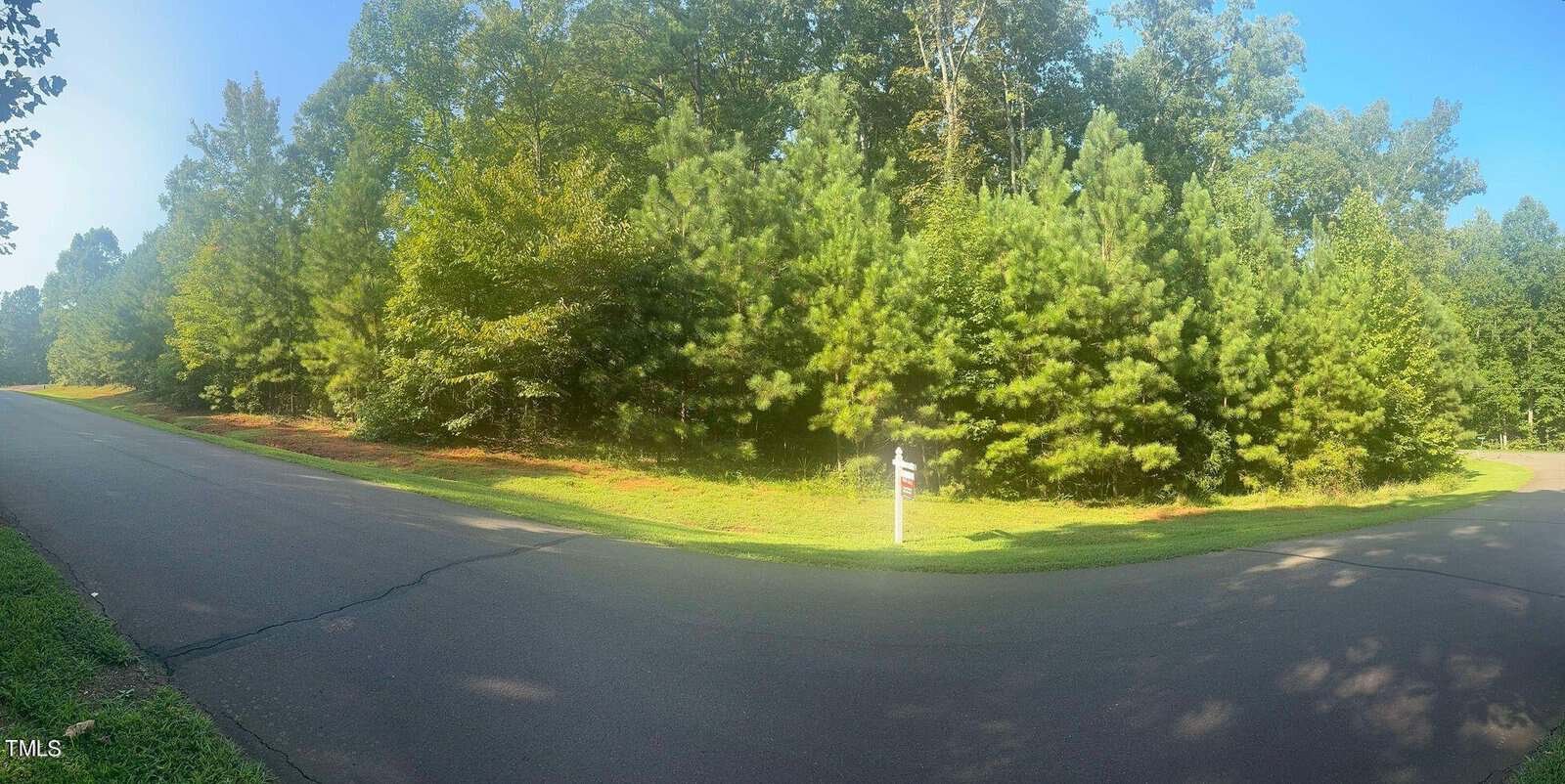 A sunny street corner with a paved road and lush green trees. A signpost is visible on the grass near the road's edge.