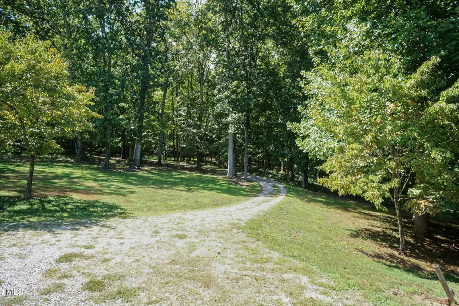 A winding gravel path curves through a lush, green forest with tall trees. Sunlight filters through the leaves, casting dappled shadows on the ground. The scene is serene and inviting, suggesting a peaceful walk in nature.