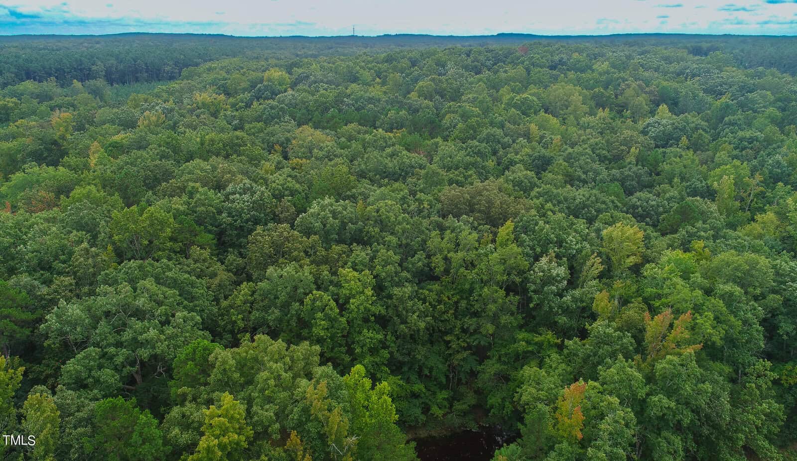 Aerial view of a dense, green forest stretching toward the horizon under a cloudy sky. The treetops form a lush canopy, with some variation in color and texture, suggesting different tree species and stages of growth.