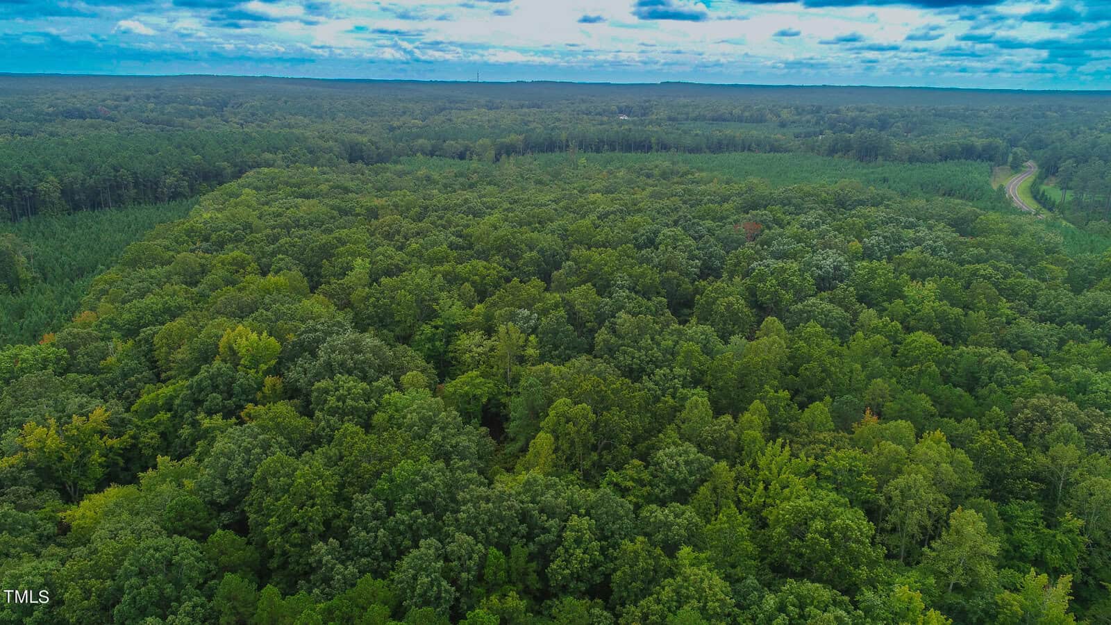 Aerial view of a dense, expansive forest under a partly cloudy sky. The forest is lush with varying shades of green, suggesting different types of trees. A road is visible on the right edge, curving into the distance.