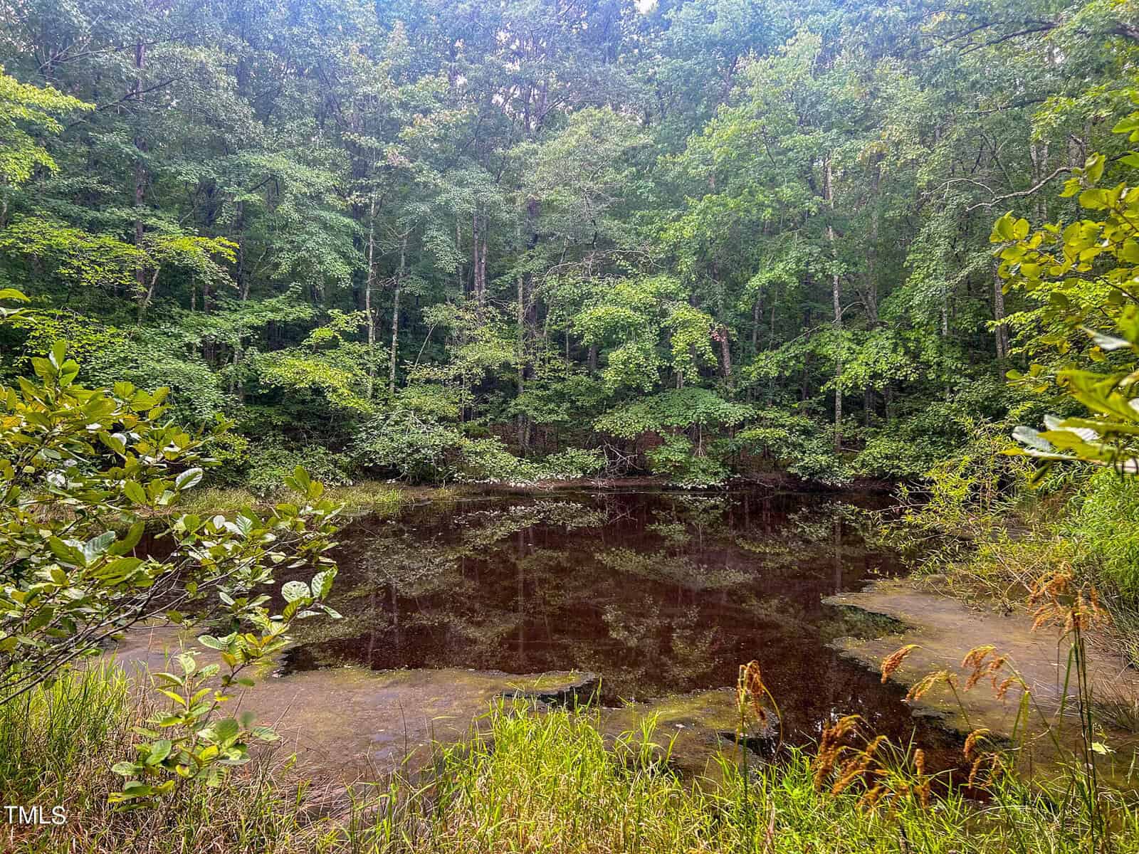 A small, serene pond surrounded by dense green foliage and trees. The water is dark and reflective, with some water plants and grass visible at the edge. The scene appears tranquil and undisturbed.