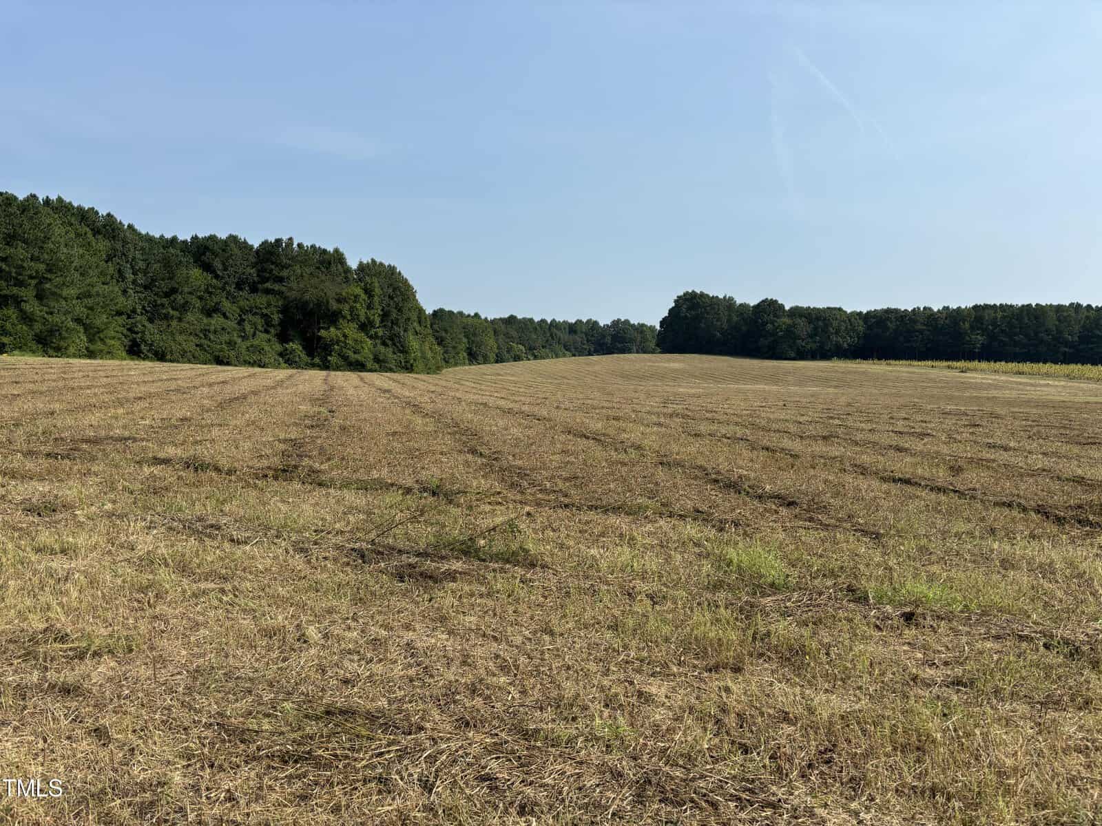 A vast, open field with short, dry grass stretches towards a dense line of green trees on the horizon under a clear blue sky. Captured off Opie Frazier Road in Henderson, the image embodies a serene rural landscape on a sunny day.