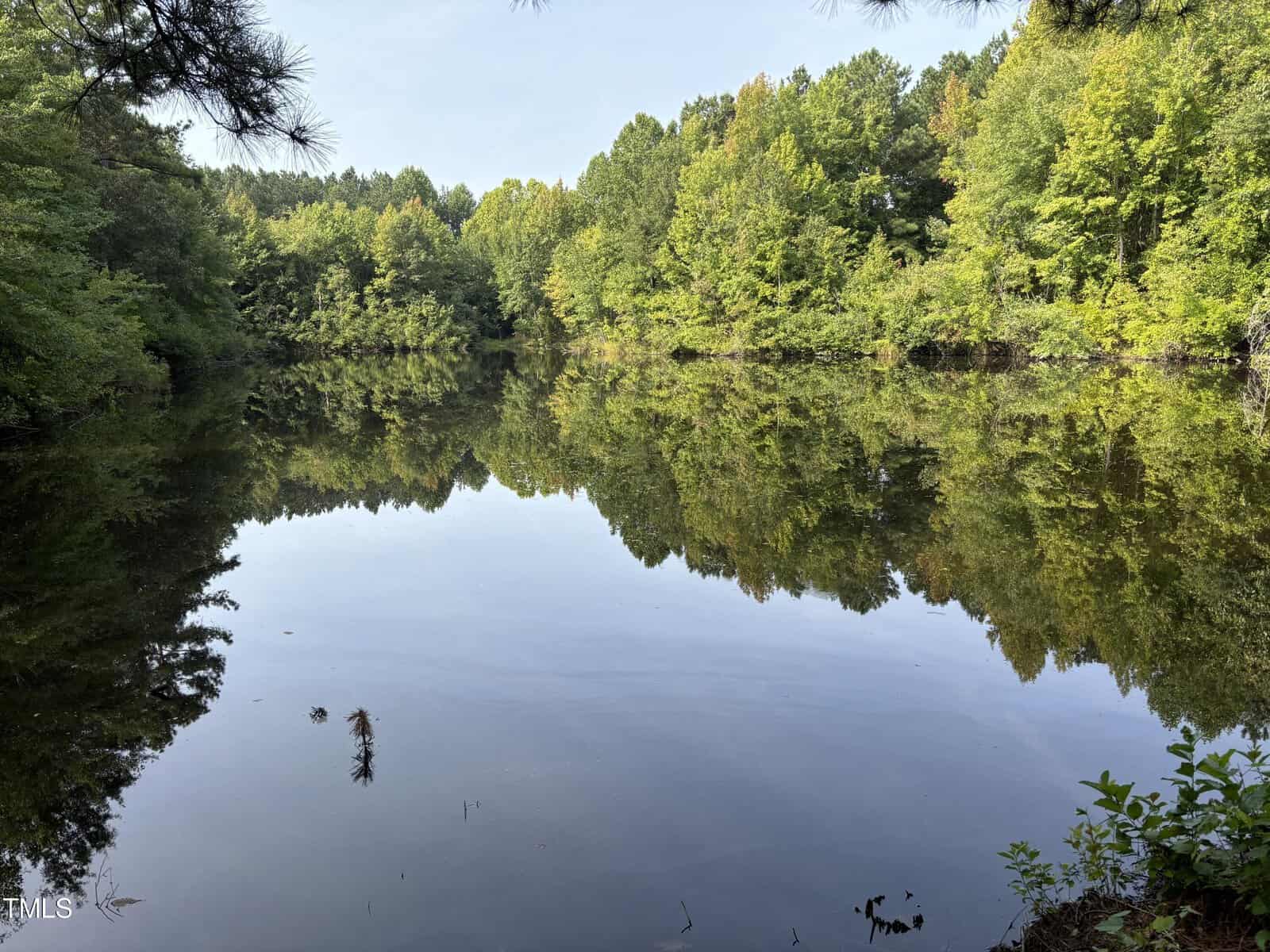 A serene lake surrounded by lush green trees reflecting on its calm water. The sky is clear, and there are a few overhanging branches in the foreground.