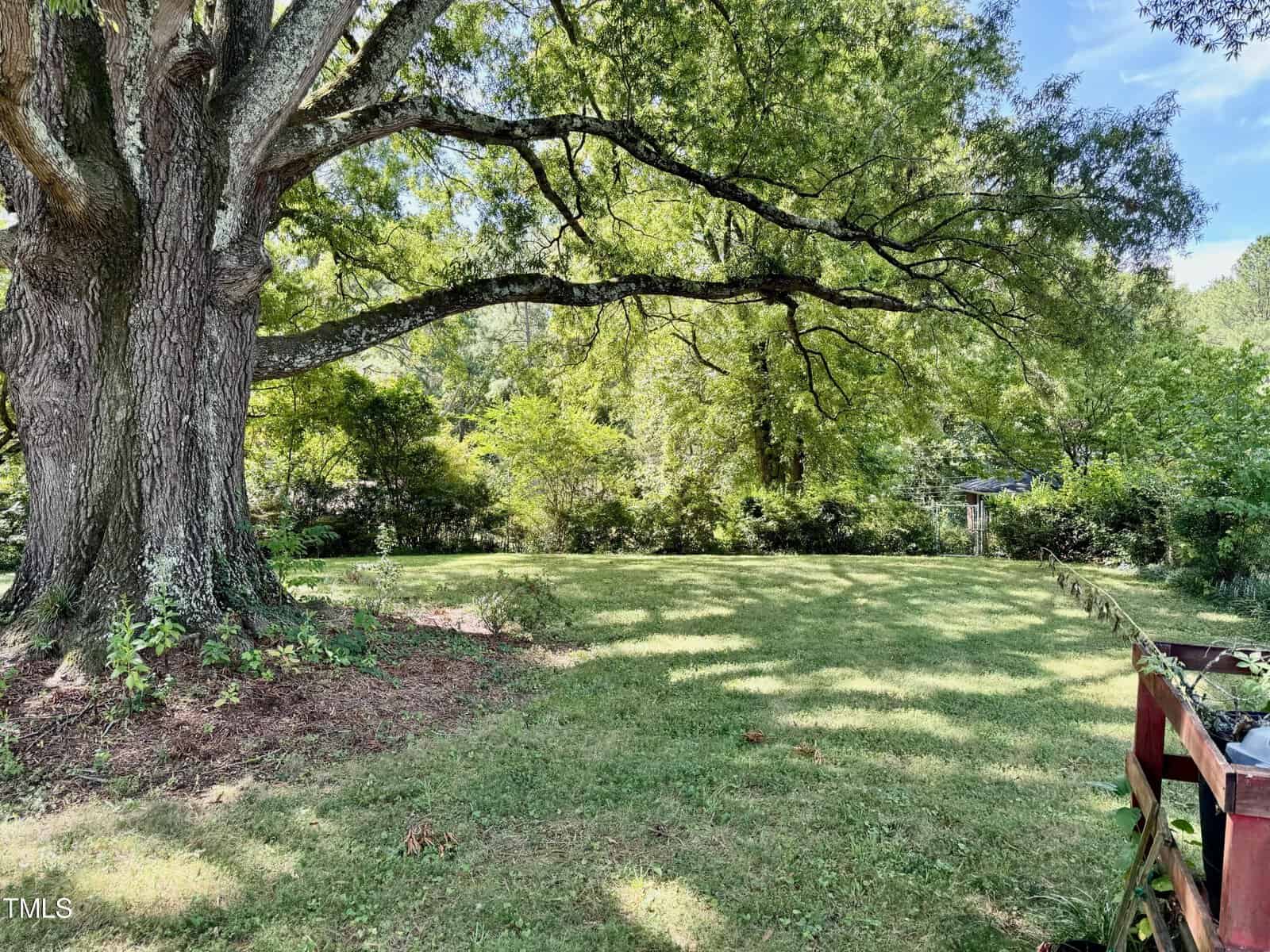 A large tree with sprawling branches provides shade across a grassy backyard. The area is surrounded by lush greenery and additional trees. A wooden fence is partially visible on the right side of the image. The sky is clear and blue.