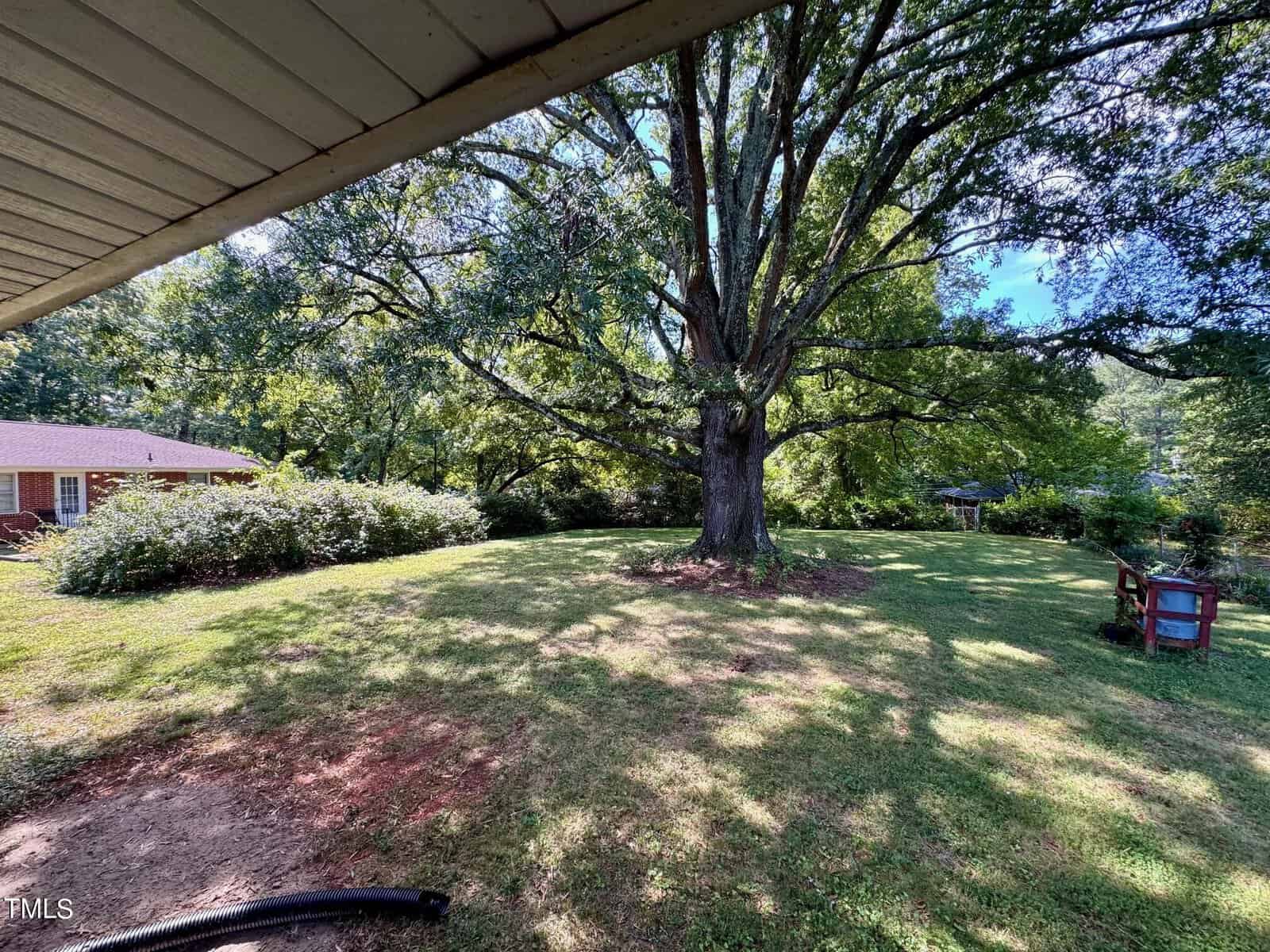 A spacious backyard with a large, mature tree standing prominently in the middle. The yard is grassy with patches of shade created by the tree's canopy. A red brick house is partially visible to the left, and there is a colorful birdhouse on a stand to the right.