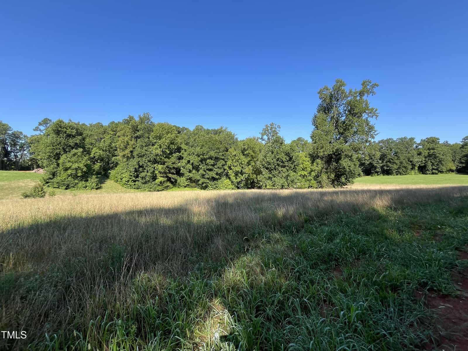 A scenic view of a grassy field under a clear blue sky, bordered by a dense line of green trees. Sunlight casts gentle shadows on the grass, creating a peaceful, rural landscape.