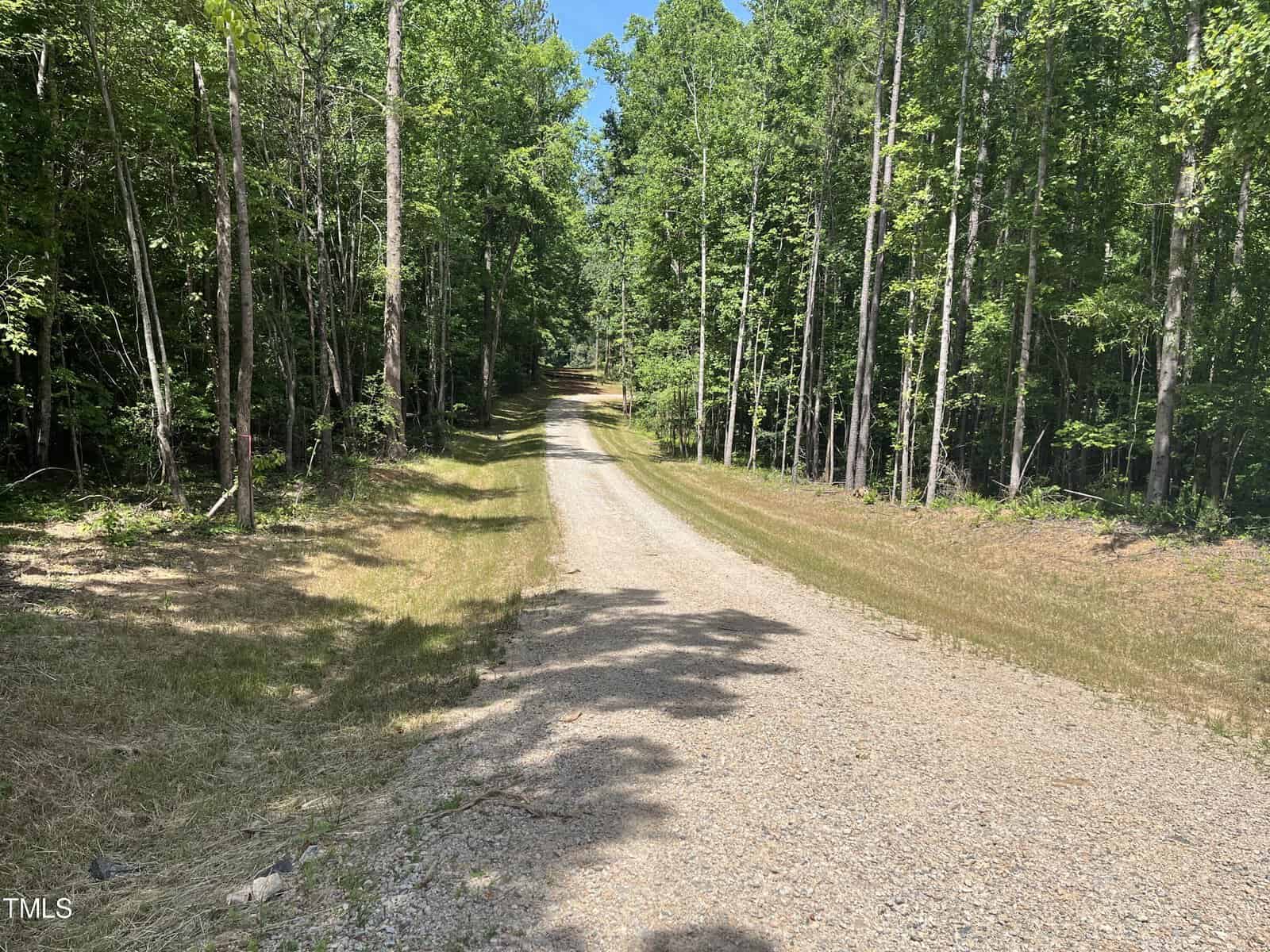 A gravel road winds through a dense forest with tall green trees on either side. Sunlight filters through the leaves, casting dappled shadows on the path. The sky is clear and blue.