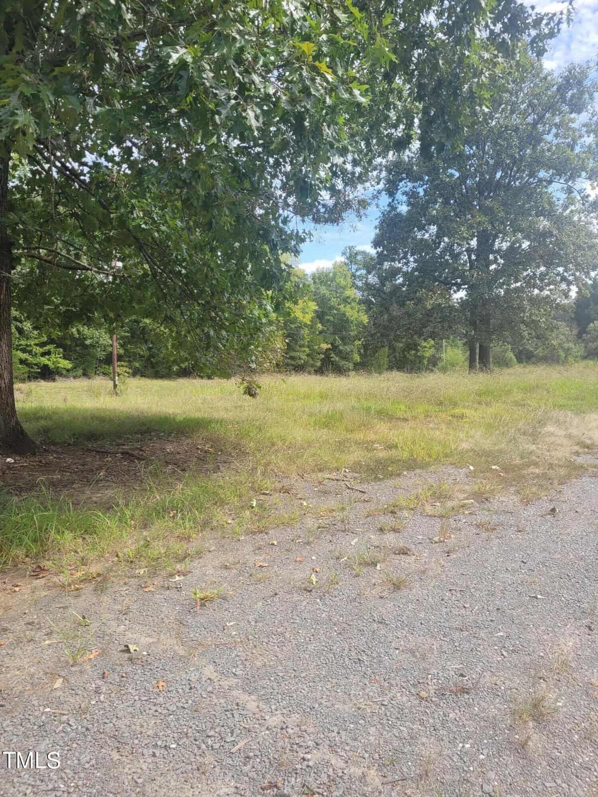 A grassy open area with scattered trees under a partly cloudy sky. A gravel path or road runs alongside, bordered by grass and foliage. A few tree branches overhang the scene, casting light shadows on the ground.